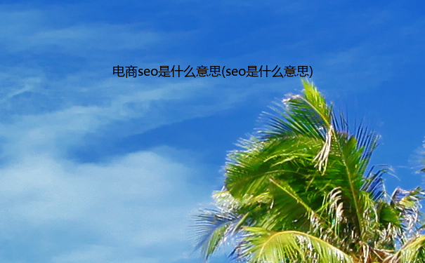 电商seo是什么意思(seo是什么意思)