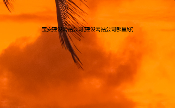 宝安建设网站公司(建设网站公司哪里好)