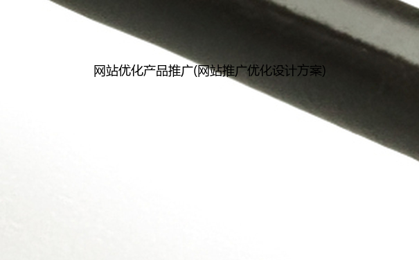 网站优化产品推广(网站推广优化设计方案)