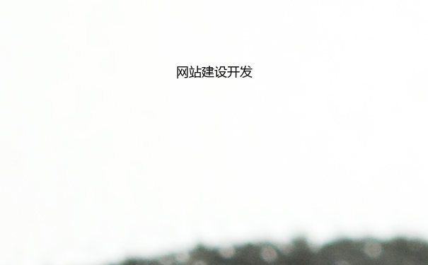 网站建设开发